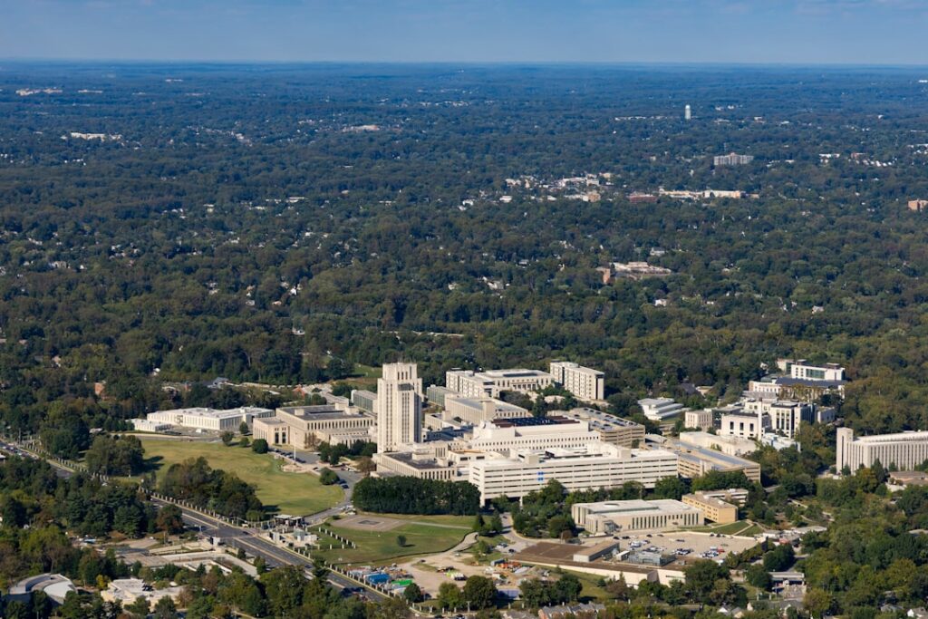 Tech Provider Services in Danbury